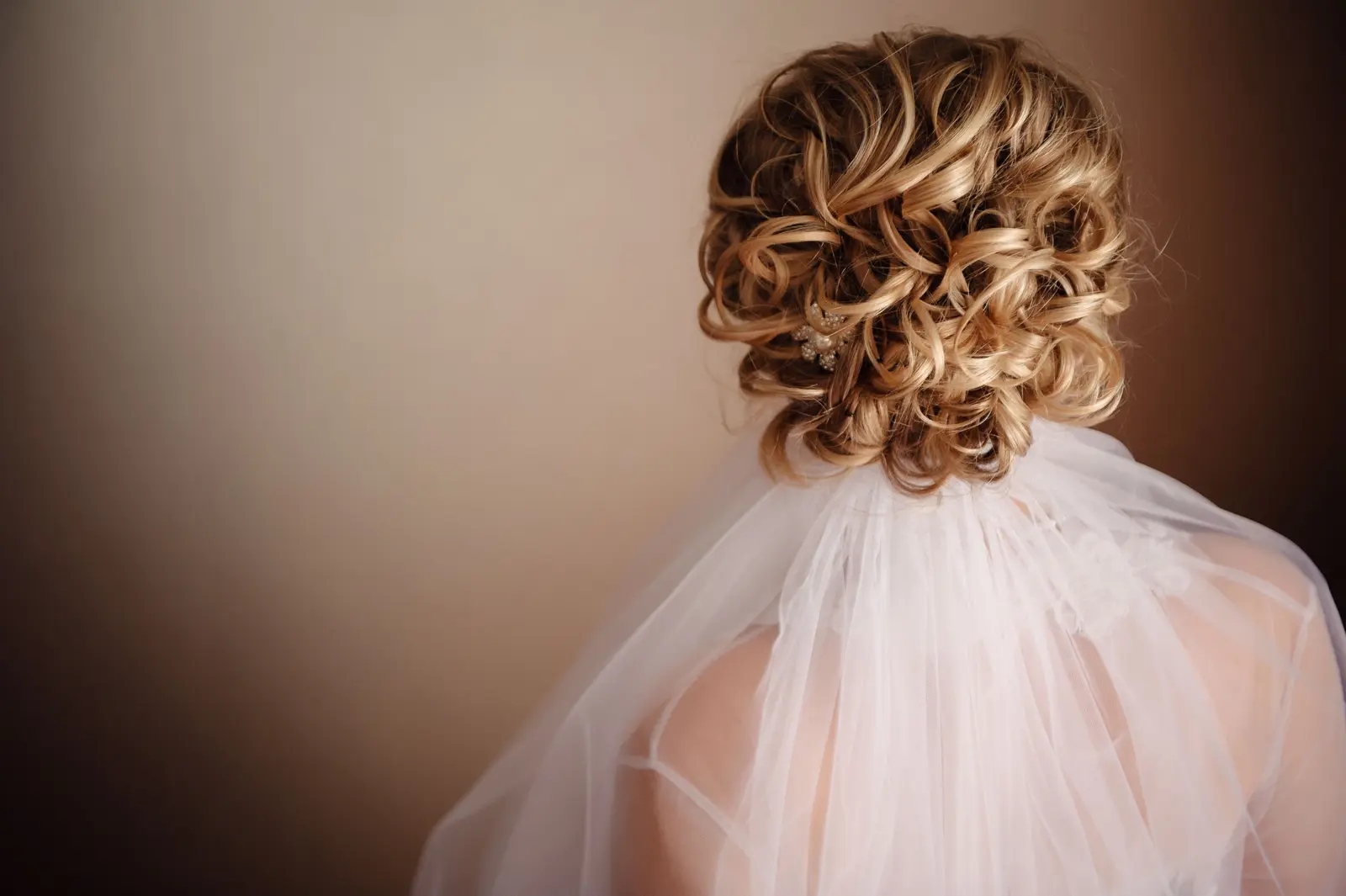 Curly bridal updo hairstyle with veil - back view, wedding hair