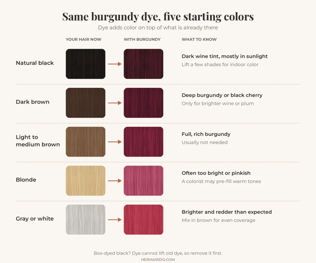 Swatch chart showing how burgundy hair dye turns out on different starting hair colors, from black to blonde