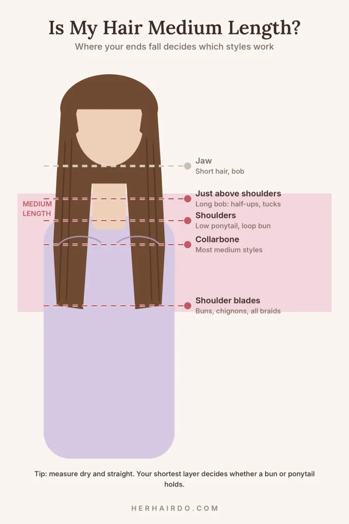 Hairstyles for medium length hair guide showing where ends fall: above the shoulders, shoulders, collarbone and shoulder blades