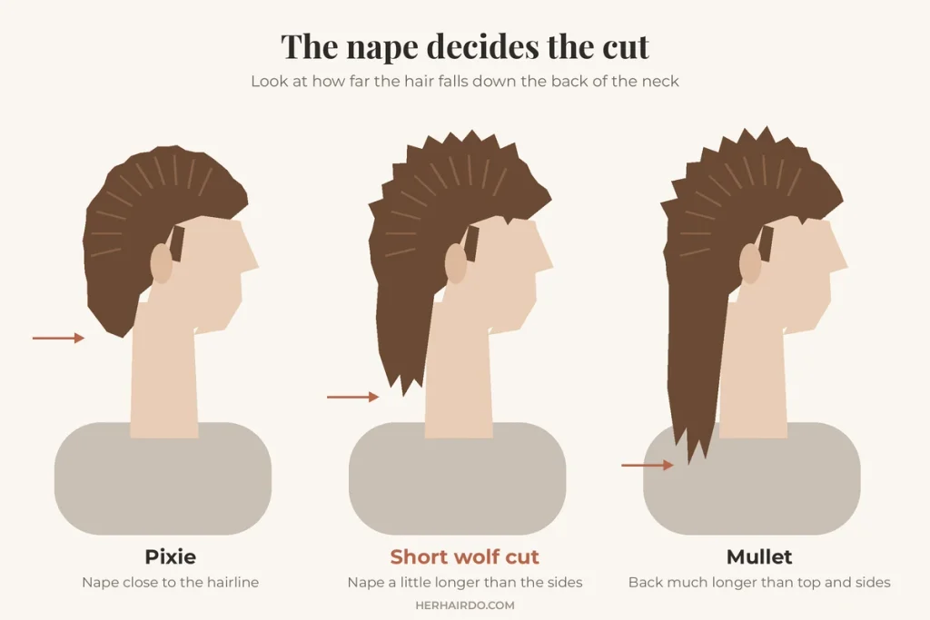 Diagram comparing nape length on a pixie, a short wolf cut and a mullet, showing how far the hair falls down the back of the neck